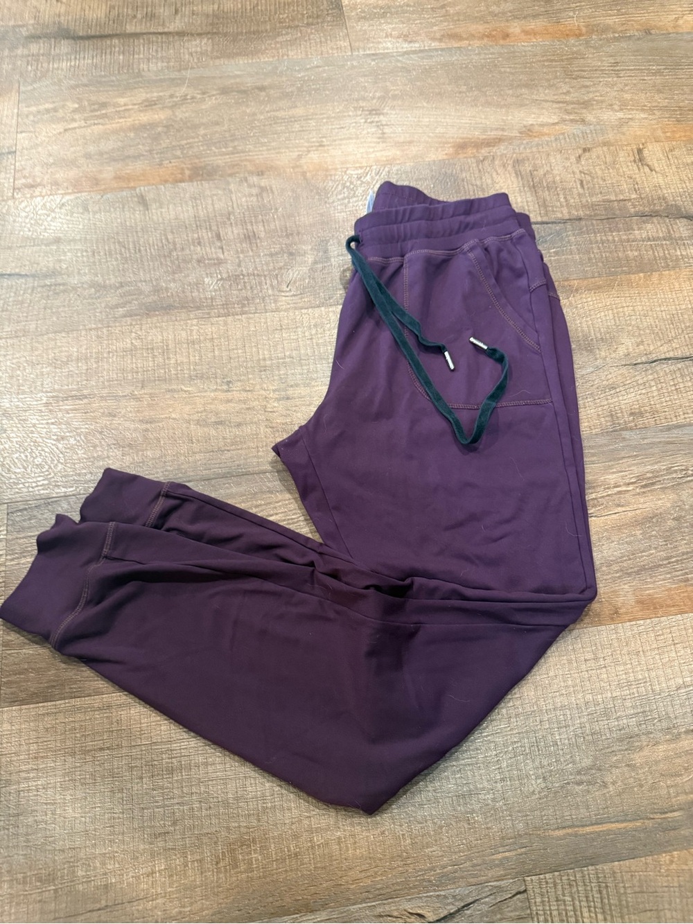 ZYIA Deep Purple Joggers with Drawstring
